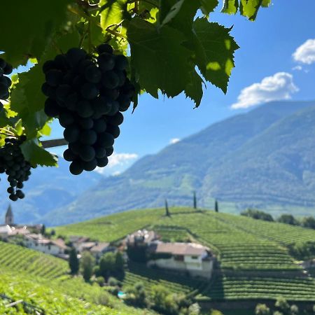 Апартаменты Weingut Eberlehof Больцано Экстерьер фото