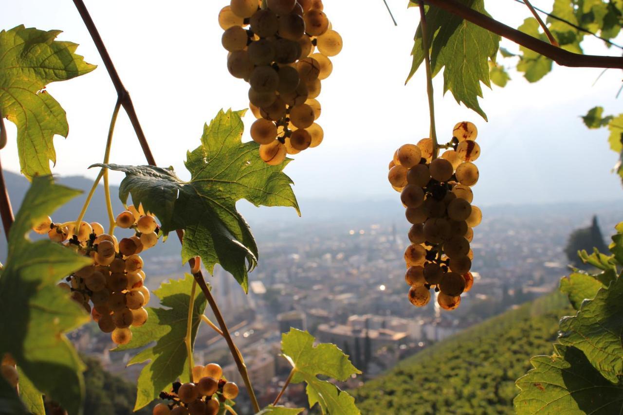 Апартаменты Weingut Eberlehof Больцано Экстерьер фото